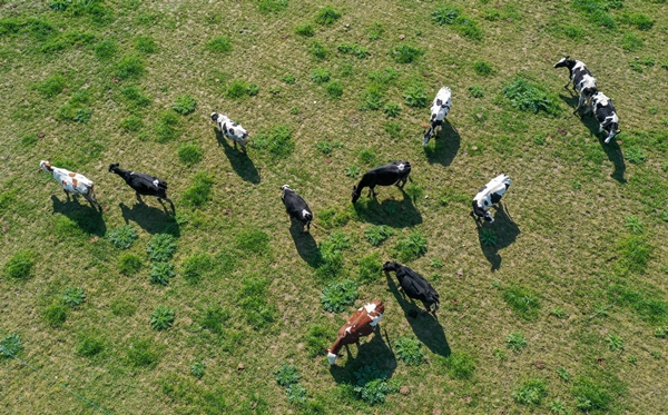Foto - 5 yıldızlı otelleri bırakıp yerleştiği köyde doğal ürünler üretiyor