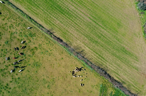 Foto - 5 yıldızlı otelleri bırakıp yerleştiği köyde doğal ürünler üretiyor