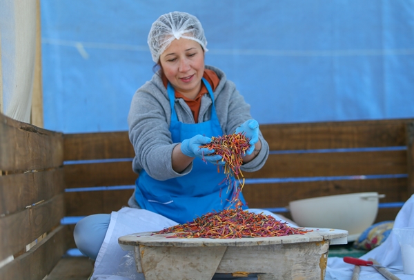 Foto - 5 yıldızlı otelleri bırakıp yerleştiği köyde doğal ürünler üretiyor