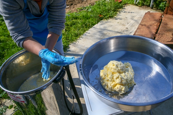 Foto - 5 yıldızlı otelleri bırakıp yerleştiği köyde doğal ürünler üretiyor