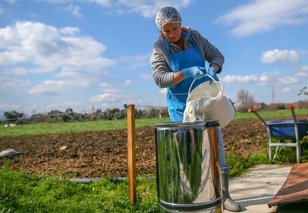 5 yıldızlı otelleri bırakıp yerleştiği köyde doğal ürünler üretiyor