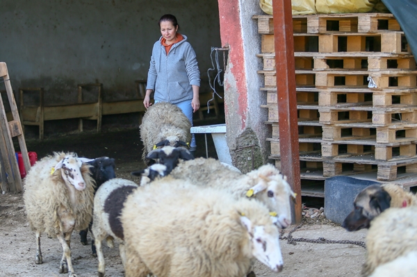 Foto - 5 yıldızlı otelleri bırakıp yerleştiği köyde doğal ürünler üretiyor