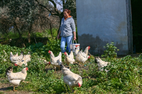 Foto - 5 yıldızlı otelleri bırakıp yerleştiği köyde doğal ürünler üretiyor