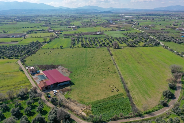 Foto - 5 yıldızlı otelleri bırakıp yerleştiği köyde doğal ürünler üretiyor