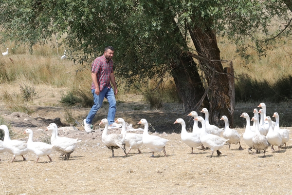 Foto - 50 kazla hobi olarak başladı... Şimdi gelen siparişlere yetişemiyor