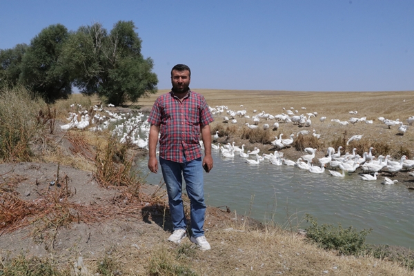 Foto - 50 kazla hobi olarak başladı... Şimdi gelen siparişlere yetişemiyor