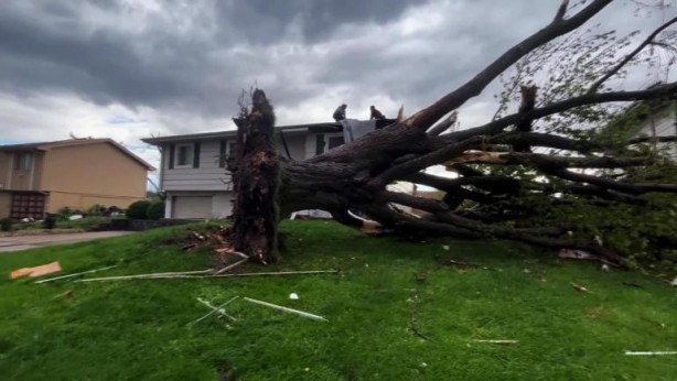 Foto - 50 milyon kişi tehlike altında! ABD’de 24 saatte 80 hortum