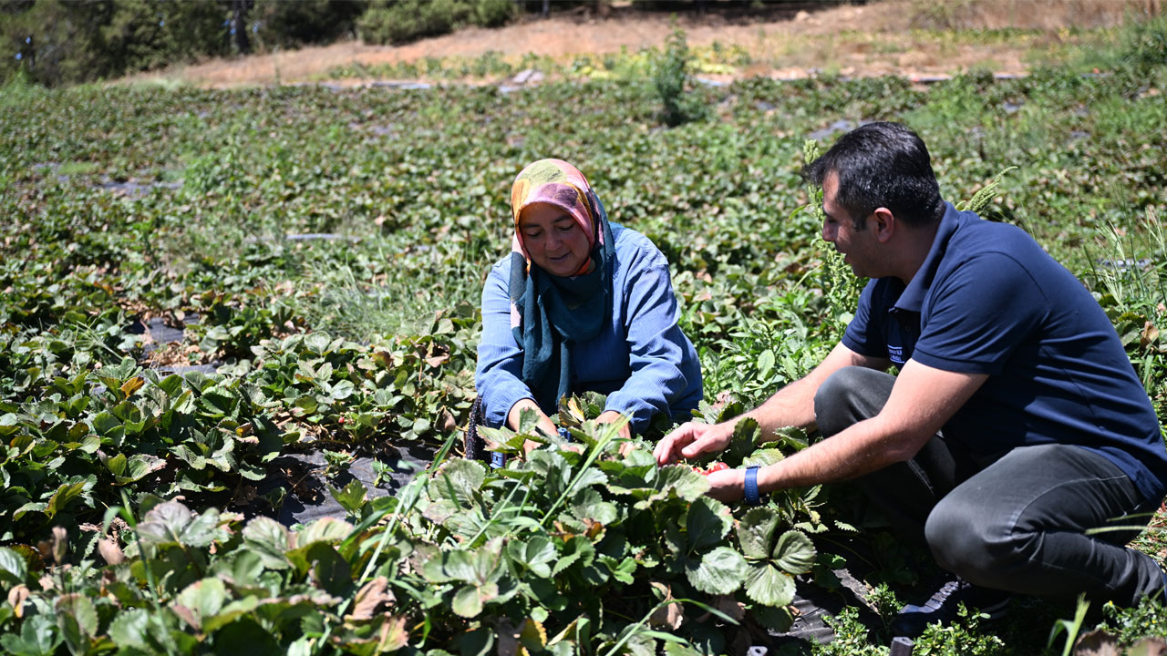 Foto - 50 ülkeye gönderiliyor! Devlet desteğiyle dünyaya açıldılar