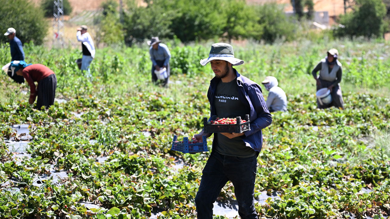 Foto - 50 ülkeye gönderiliyor! Devlet desteğiyle dünyaya açıldılar