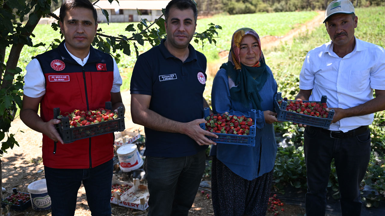 Foto - 50 ülkeye gönderiliyor! Devlet desteğiyle dünyaya açıldılar