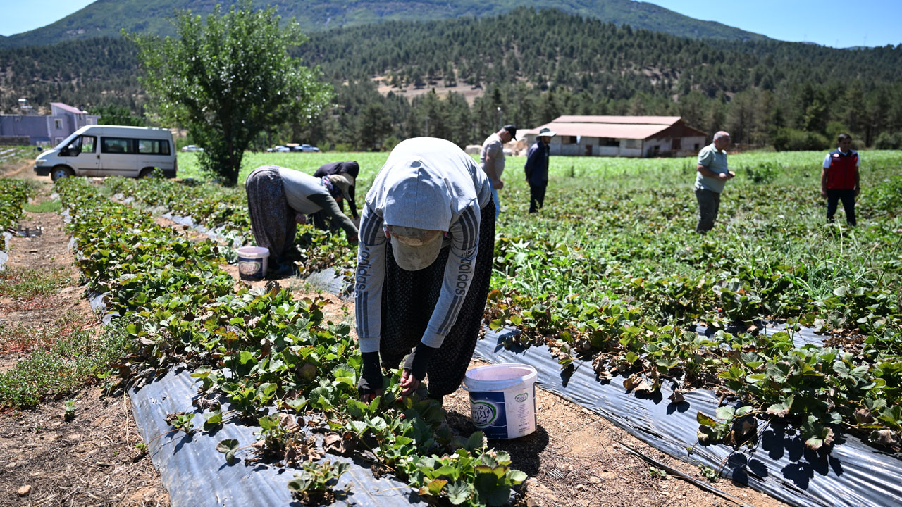 Foto - 50 ülkeye gönderiliyor! Devlet desteğiyle dünyaya açıldılar