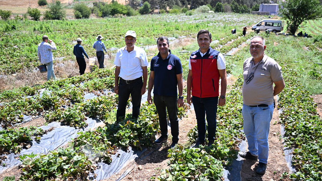 50 ülkeye gönderiliyor! Devlet desteğiyle dünyaya açıldılar