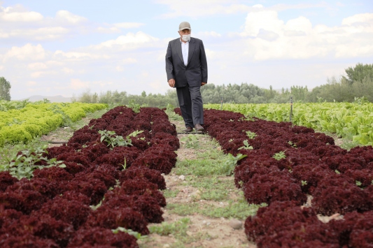 Foto - Öyle bir tohum ürettiler ki... Onlarca yıl sebze ve meyve verecek! Türkiye'ye tarihi müjde