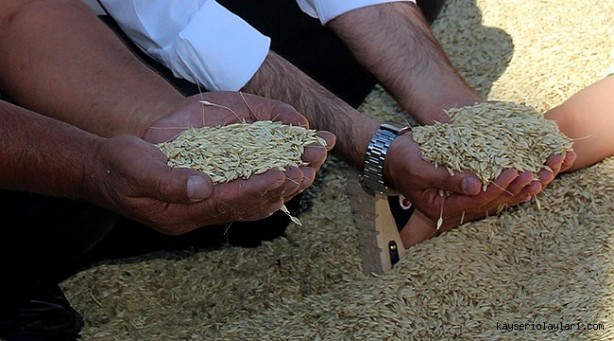 Foto - Öyle bir tohum ürettiler ki... Onlarca yıl sebze ve meyve verecek! Türkiye'ye tarihi müjde