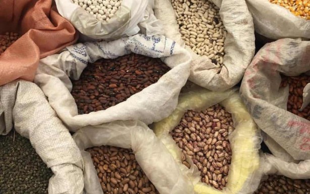 Foto - Öyle bir tohum ürettiler ki... Onlarca yıl sebze ve meyve verecek! Türkiye'ye tarihi müjde