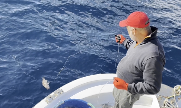 Foto - 50 yıl sonra ilk kez Kuzey Ege’de ortaya çıktı