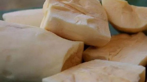 500 milyon insan ekmek yerine ayıla bayıla bunu yiyor! Türkiye'de değer görmüyor ama bir tek ölüme çaresi yok