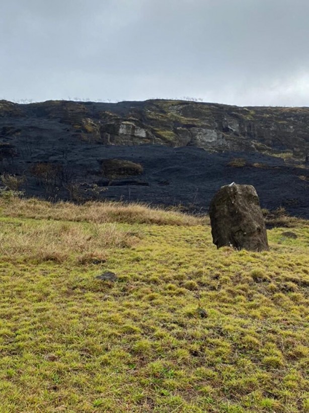 Foto - 500 Yıllık Putlar Cayır Cayır Yandı