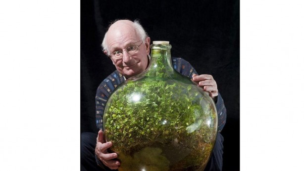 52 yıldır su verilmemesine rağmen yaşayan bitkinin sırrı!