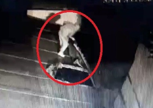 527 yıllık camiden çalıp 700 TL'ye sattılar