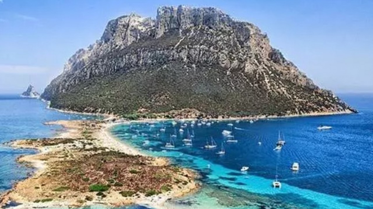 Foto - 55 gün ayakta kalabildi: İşte tarihin kısa süren ükesi!