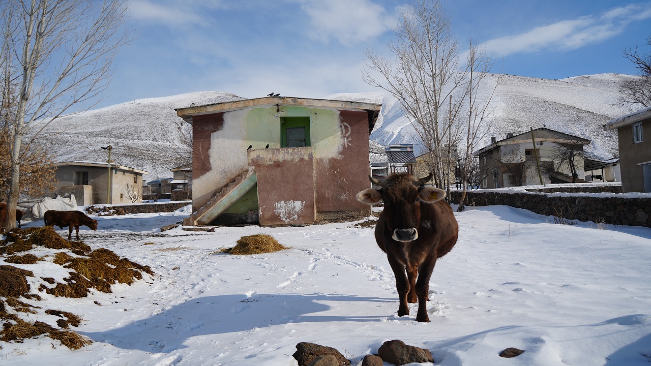 Foto - 58 yıldır yaralar sarılmaya çalışılıyor! o köy fay hattı üzerine mi kuruldu? 