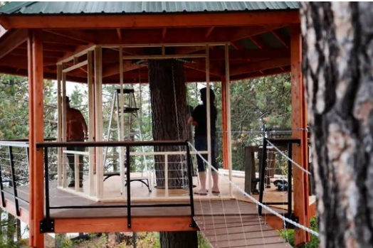 Foto - 6 ay uğraşıp muhteşem bir ağaç ev yaptılar!