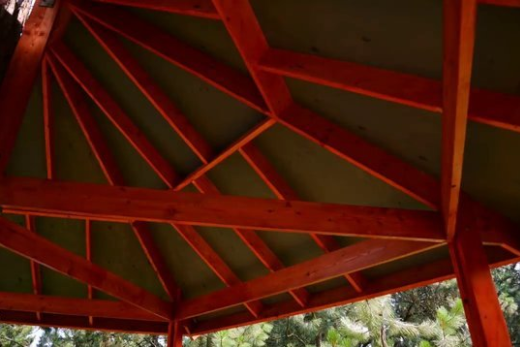 Foto - 6 ay uğraşıp muhteşem bir ağaç ev yaptılar!