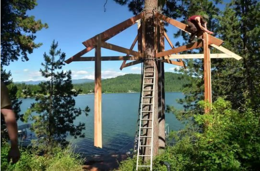 Foto - 6 ay uğraşıp muhteşem bir ağaç ev yaptılar!