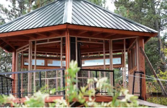 Foto - 6 ay uğraşıp muhteşem bir ağaç ev yaptılar!