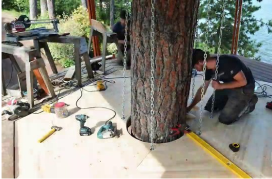 Foto - 6 ay uğraşıp muhteşem bir ağaç ev yaptılar!