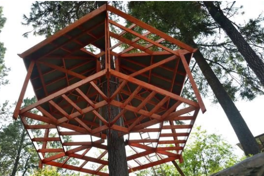 Foto - 6 ay uğraşıp muhteşem bir ağaç ev yaptılar!