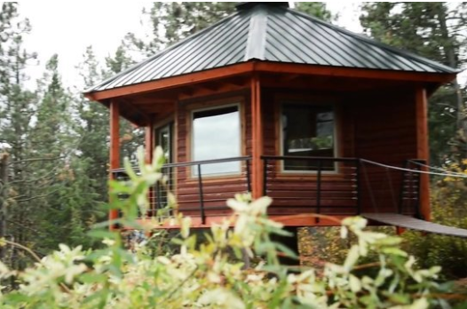 Foto - 6 ay uğraşıp muhteşem bir ağaç ev yaptılar!