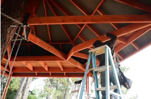 Foto - 6 ay uğraşıp muhteşem bir ağaç ev yaptılar!