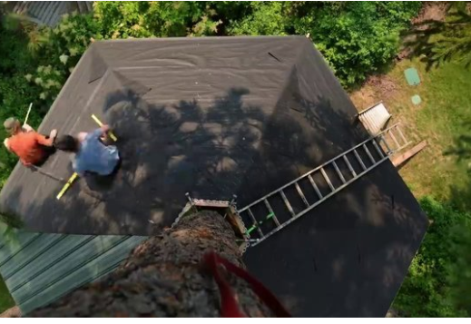 Foto - 6 ay uğraşıp muhteşem bir ağaç ev yaptılar!