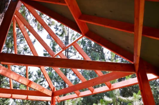 Foto - 6 ay uğraşıp muhteşem bir ağaç ev yaptılar!