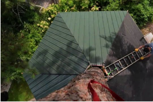 Foto - 6 ay uğraşıp muhteşem bir ağaç ev yaptılar!