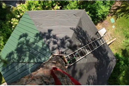 Foto - 6 ay uğraşıp muhteşem bir ağaç ev yaptılar!