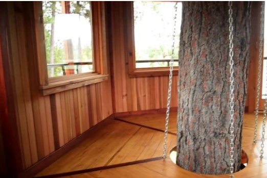 Foto - 6 ay uğraşıp muhteşem bir ağaç ev yaptılar!