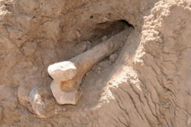 Foto - 6 bin yıllık mağarada çok büyük şok! İçerisinde kazı yapan araştırmacıların, gördükleri karşısında kanı dondu! Tek tek yer altından çıktılar