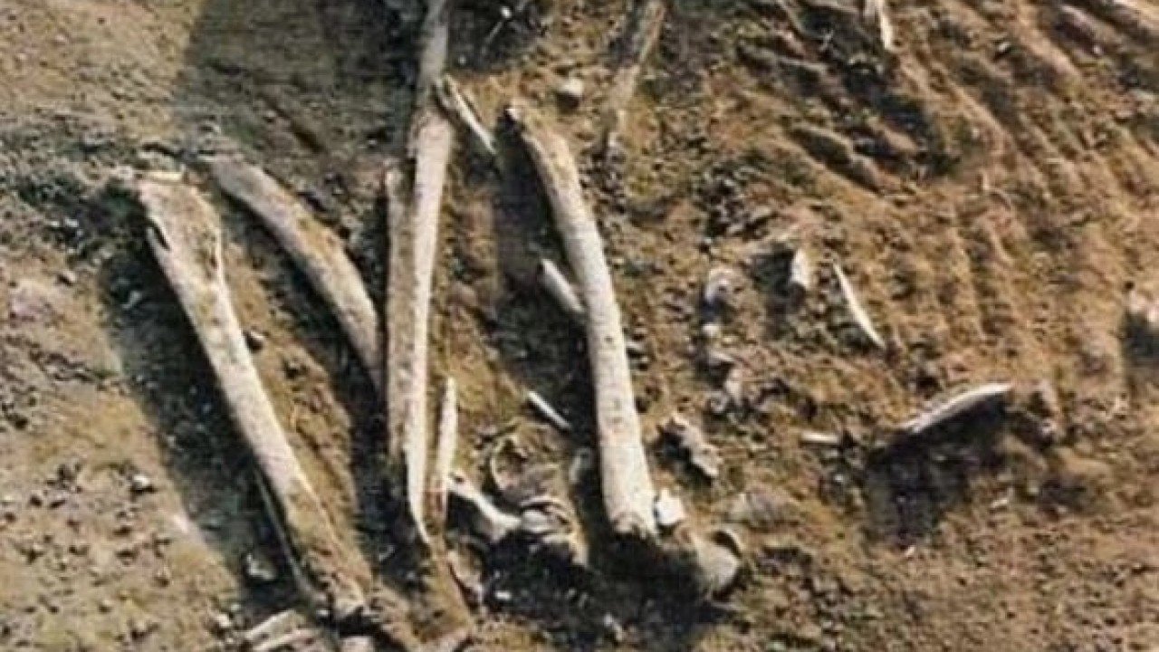 Foto - 6 bin yıllık yeni insan soyu bulundu!