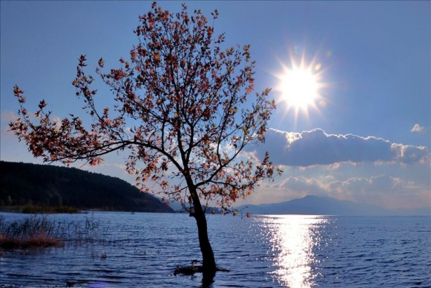 Foto - 6 haftada bir roketle karakola gidiyor! 