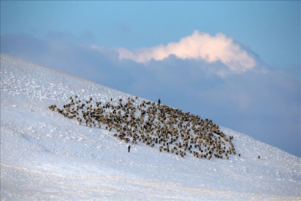 Foto - 6 haftada bir roketle karakola gidiyor! 