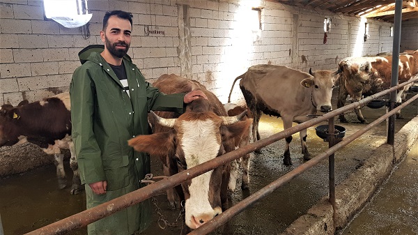 6 inekle başladı sayıyı 12.5 kat artırdı