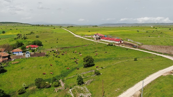 Foto - 6 inekle başladı sayıyı 12.5 kat artırdı