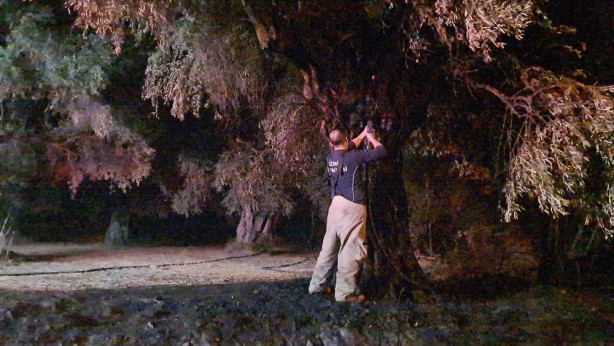 Foto - 6 köyde esrarengiz yangın! Köylüleri ayağa kaldıran olay