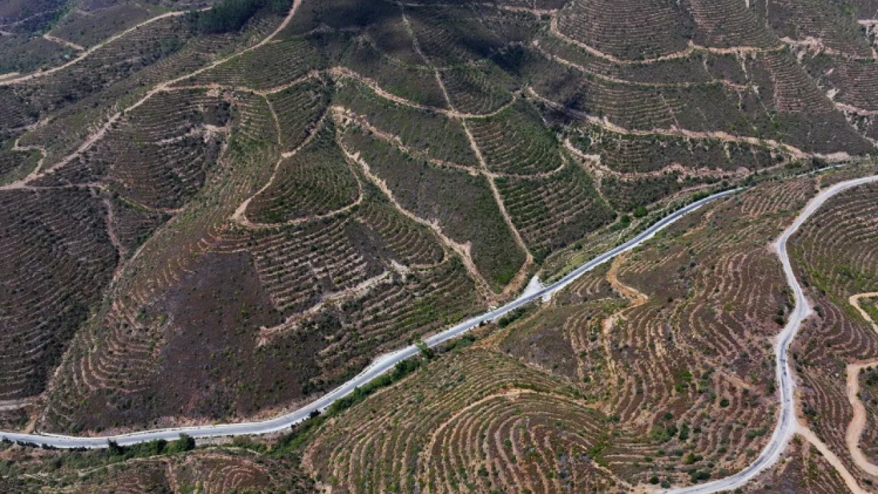 Foto - 6 yıl sonraki görüntüleri ortaya çıktı! Otel olmadı rezil oldular