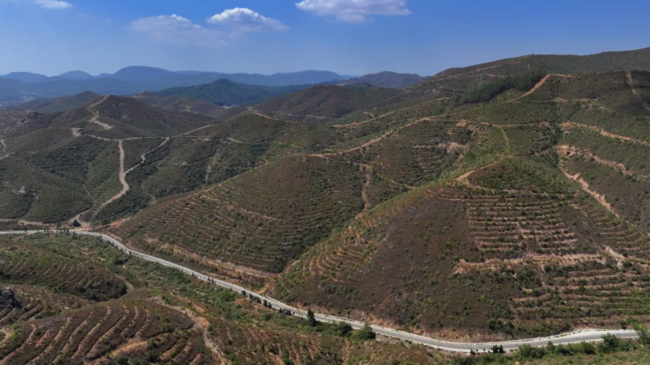 6 yıl sonraki görüntüleri ortaya çıktı! Otel olmadı rezil oldular
