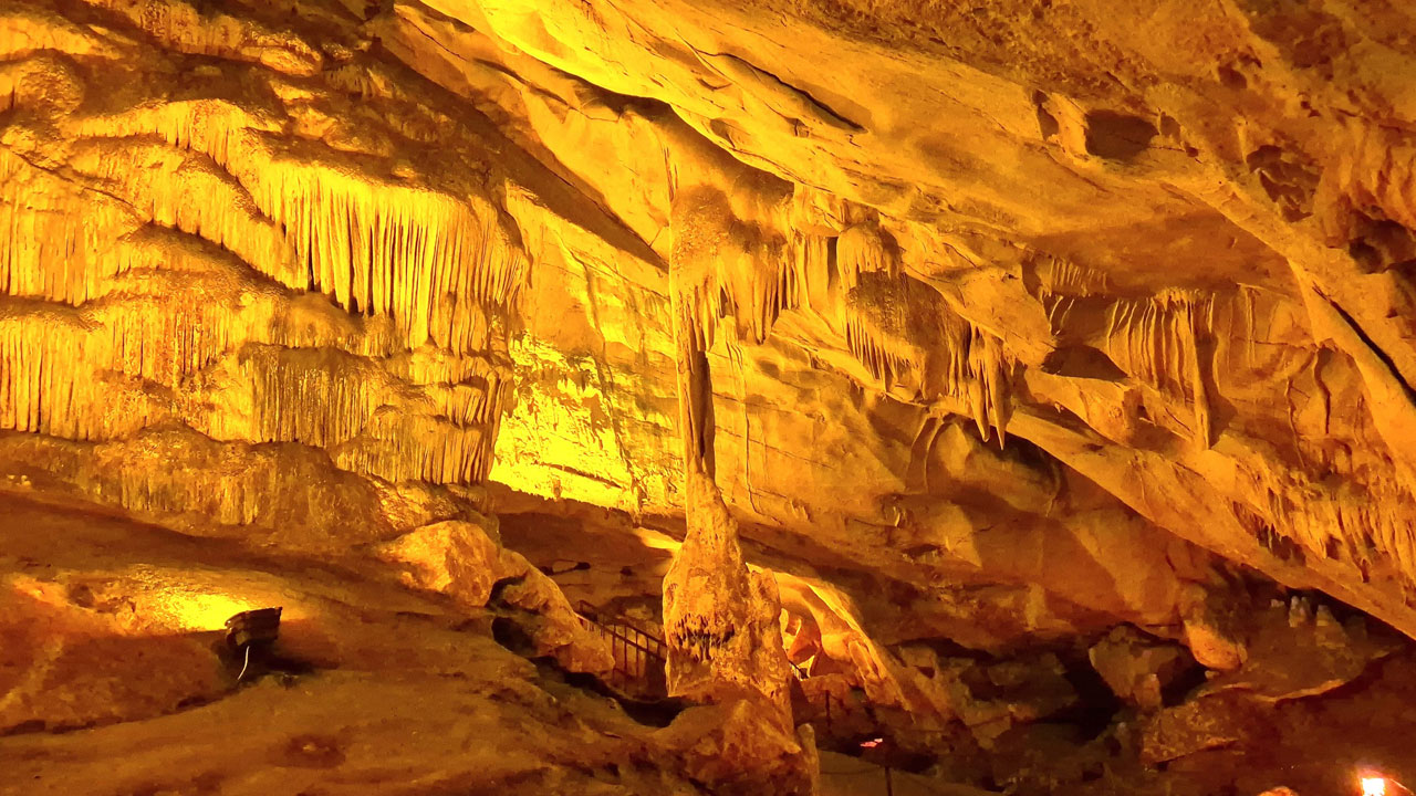 60 bin yarasa yaşıyor! 3 milyon yıllık gizemli dünya