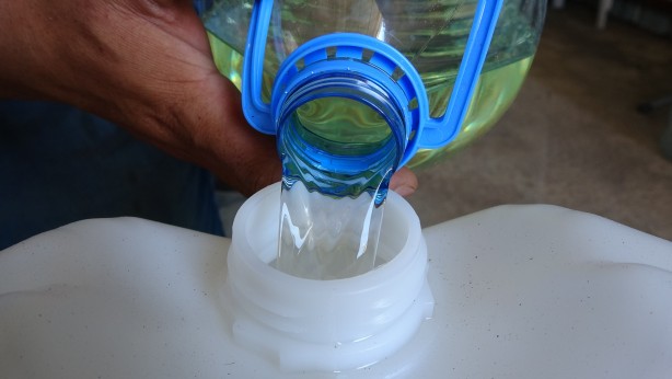 Foto - 60 kilosundan 1 kilo yağ çıkıyor! O bitkinin hasadı başladı